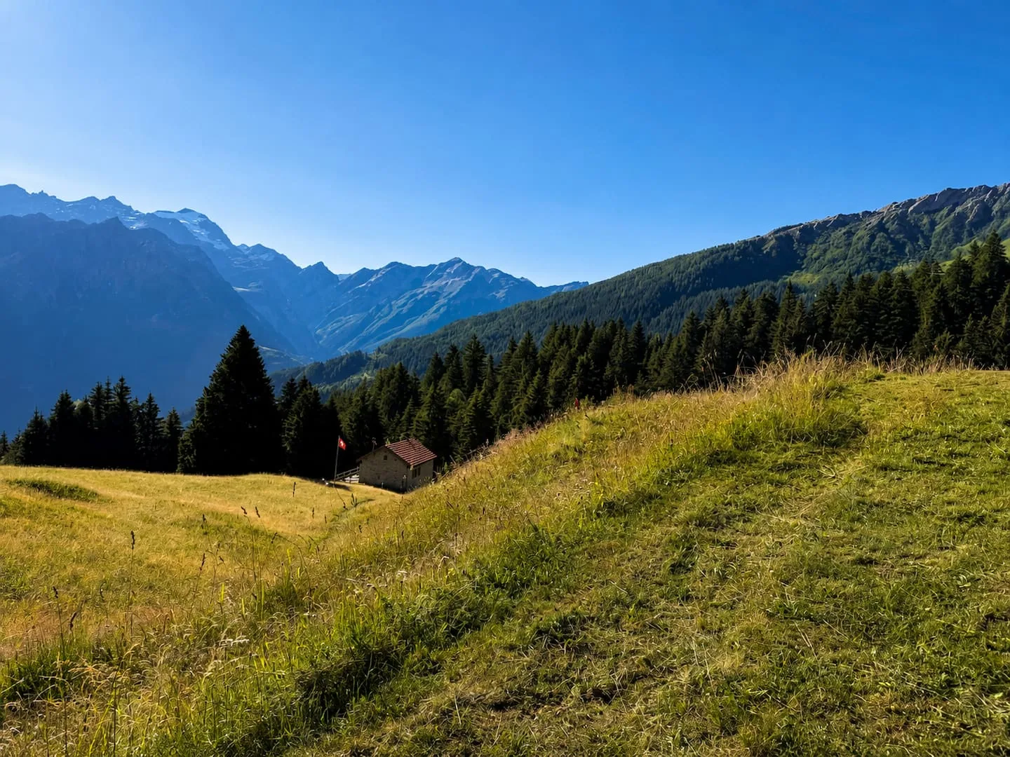 Prati e montagne attorno a Casa Vista Adula in Valle di Blenio