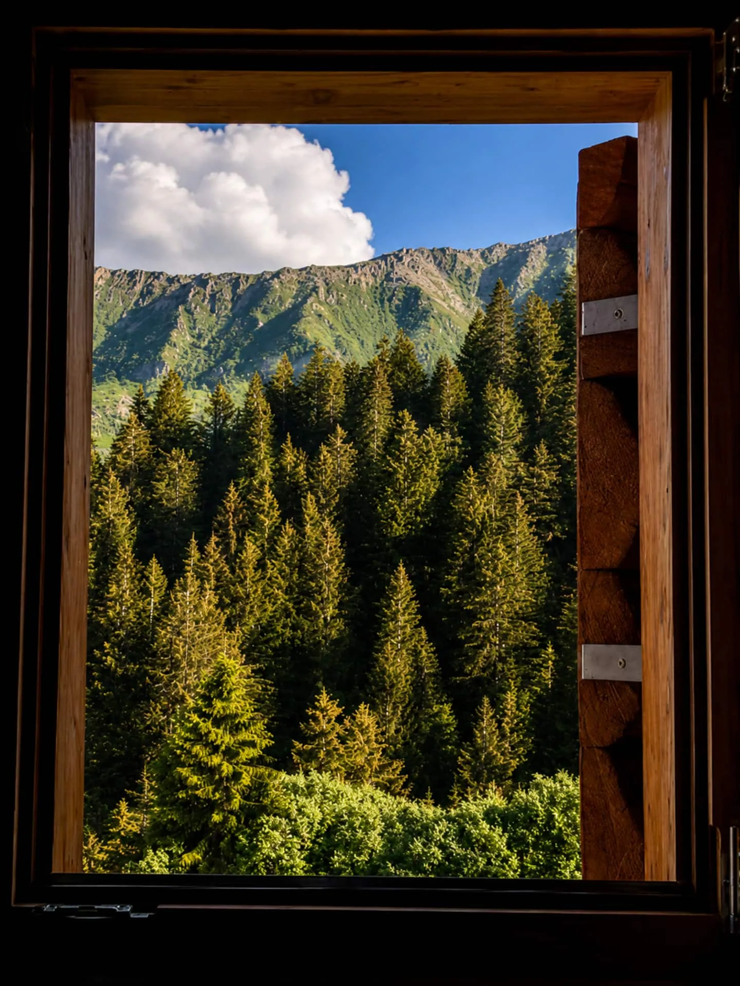 Vista sulle montagne dall’interno della casa